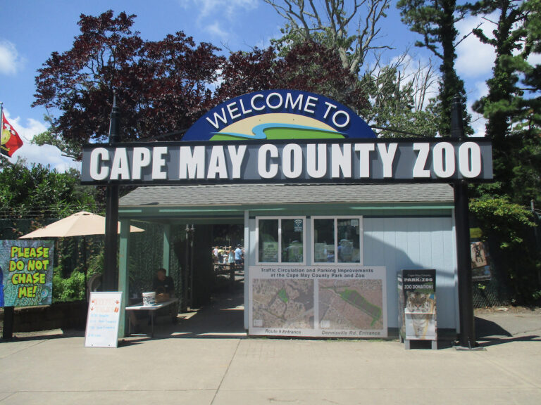 Zoo entrance/ticket booth that reads: "Cape May County Zoo"