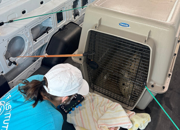 Pinto traveled aboard the Ferry in a carefully prepared transport van, accompanied by expert responders from the MERR Institute.