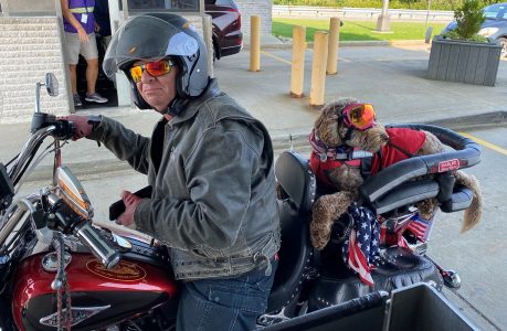 2022 Trip to OCean City MD Bike Week Richard Stepkin, 155 Chippewa Trail, Medford Lakes, NJ 08055
Dog = Harlee
richard@nonnoys2.com
609-471-2030